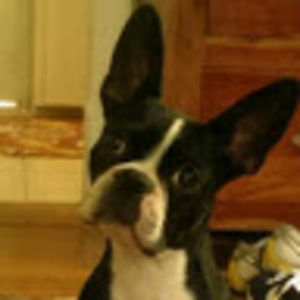 Meet your Posher, Ian